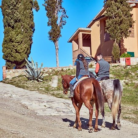 Az.Agr. Il Cavalleggero Villa Campiglia d'Orcia Luaran gambar