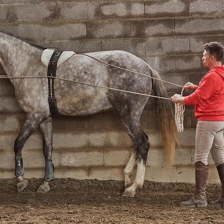 Az.Agr. Il Cavalleggero Campiglia d'Orcia Luaran gambar