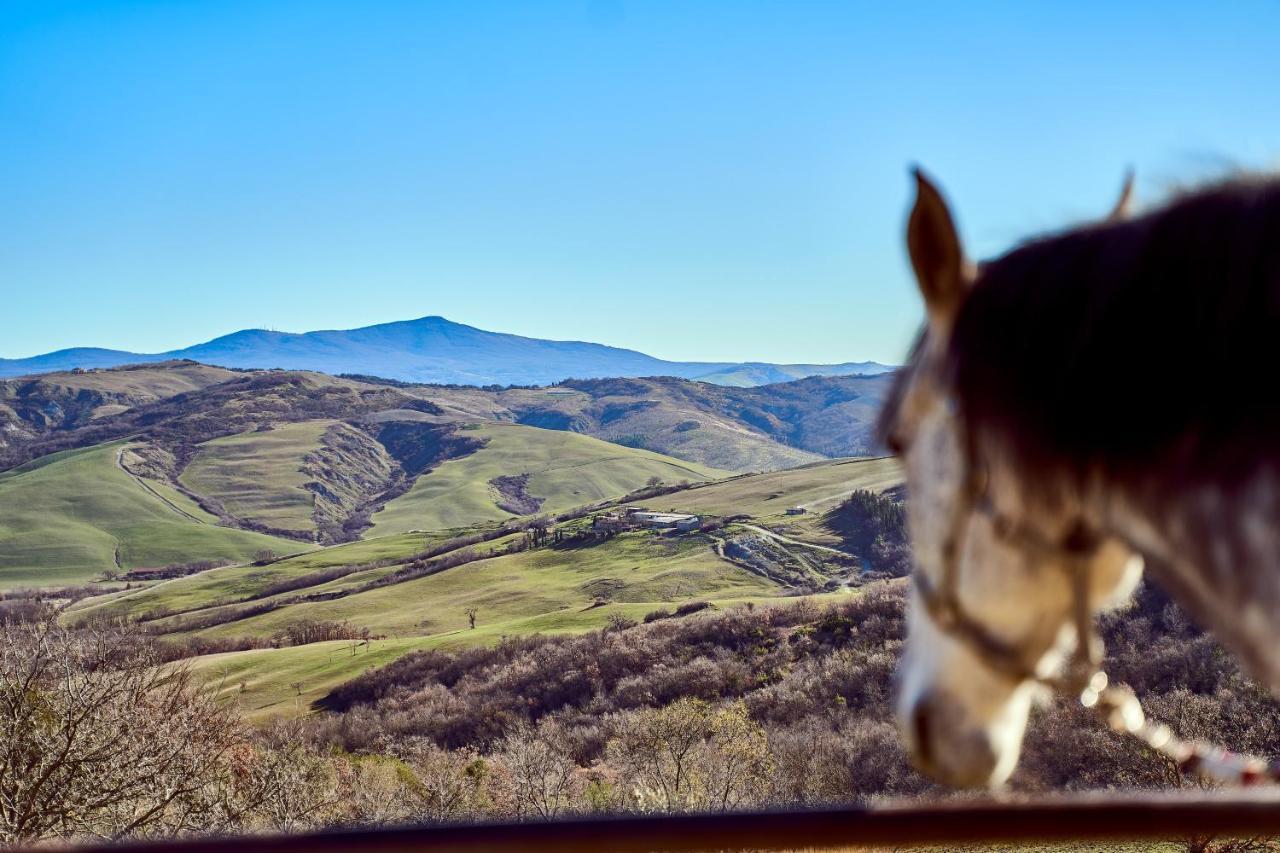 Az.Agr. Il Cavalleggero Villa Campiglia d'Orcia Luaran gambar