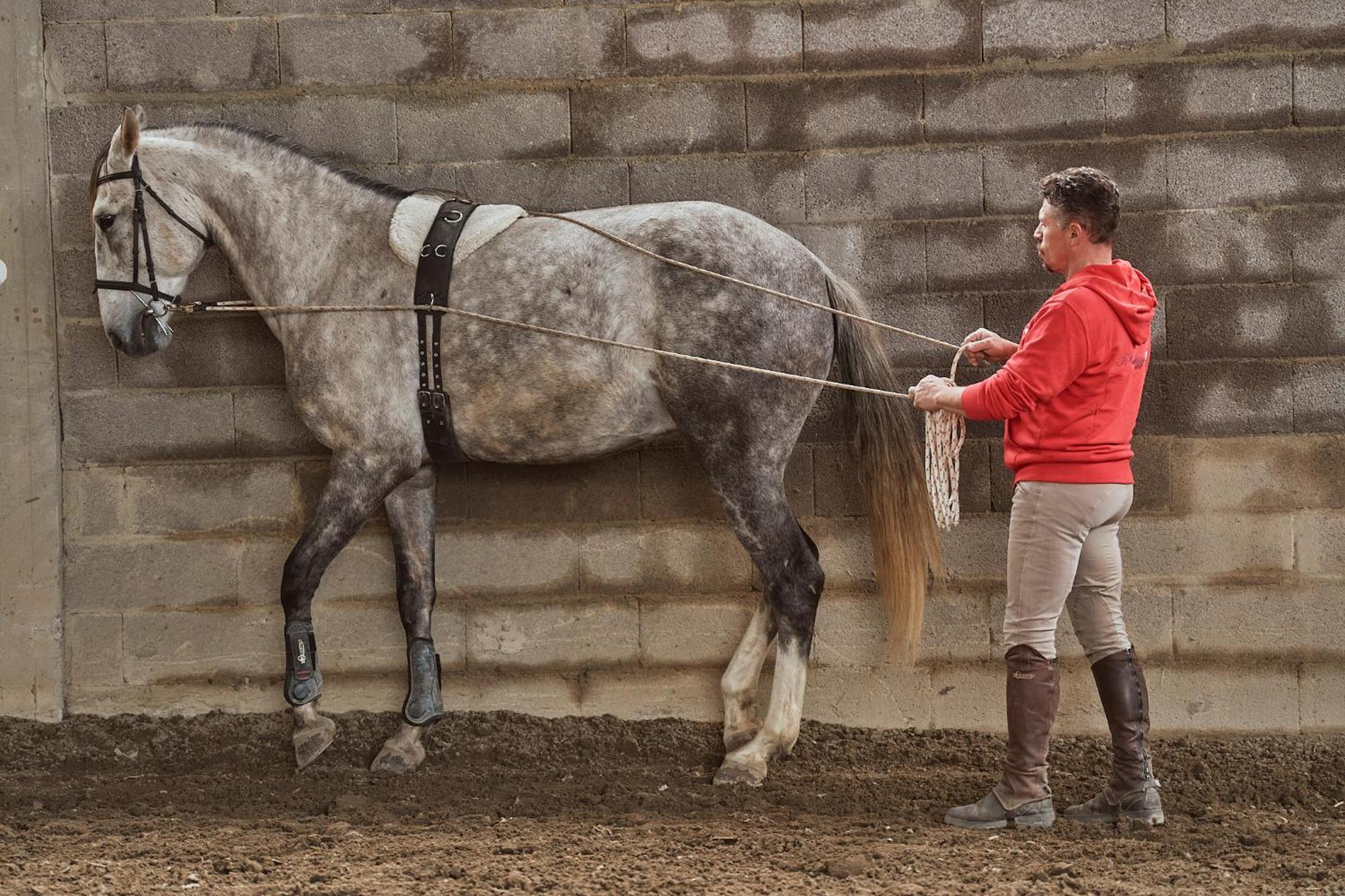 Az.Agr. Il Cavalleggero Campiglia d'Orcia Luaran gambar