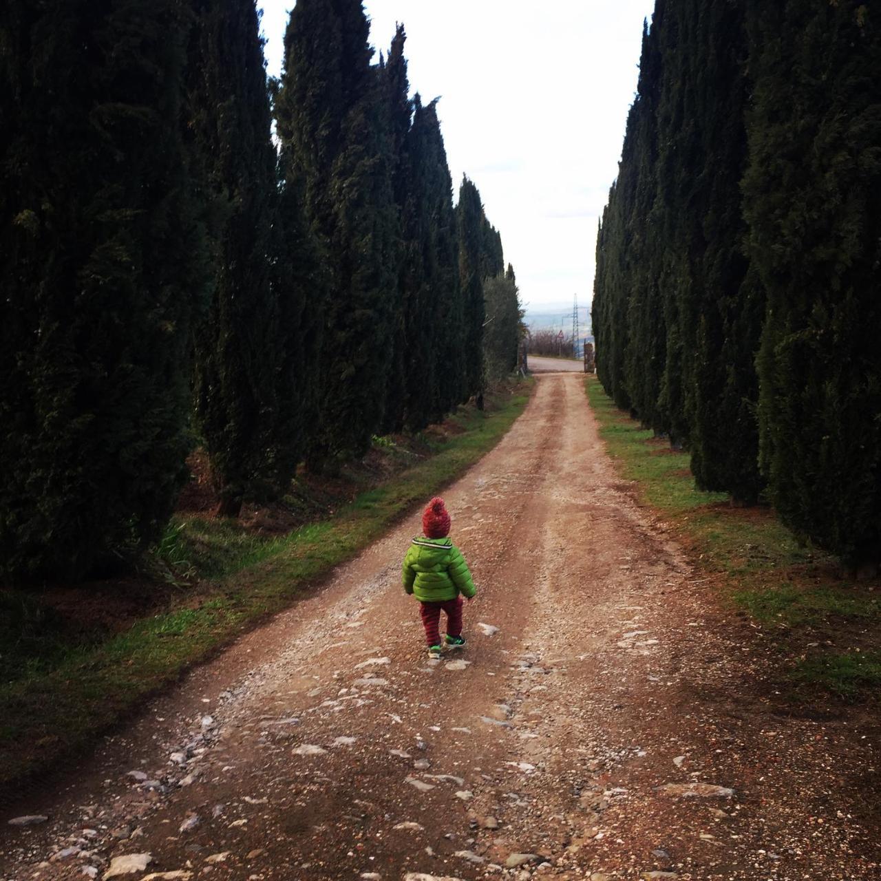 Az.Agr. Il Cavalleggero Villa Campiglia d'Orcia Luaran gambar