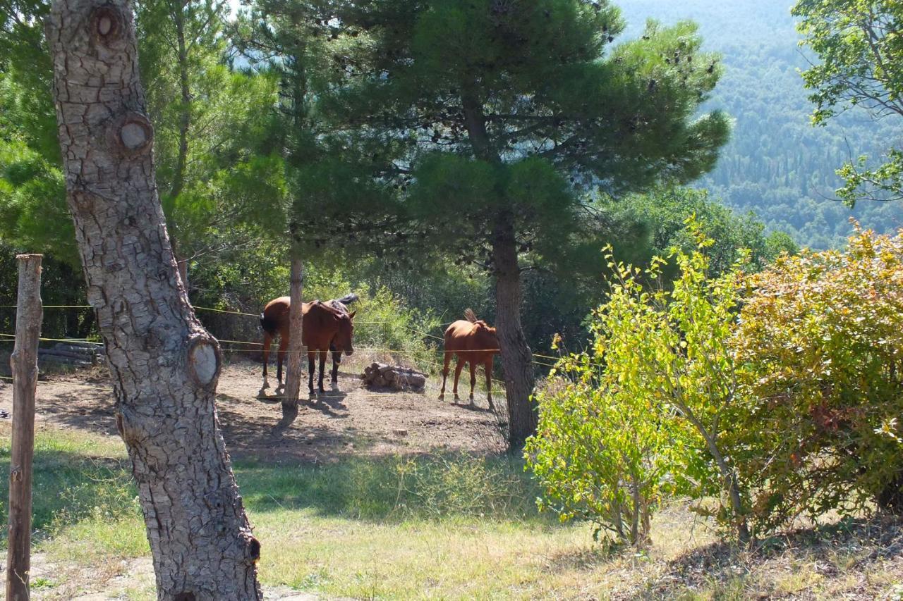 Az.Agr. Il Cavalleggero Villa Campiglia d'Orcia Luaran gambar