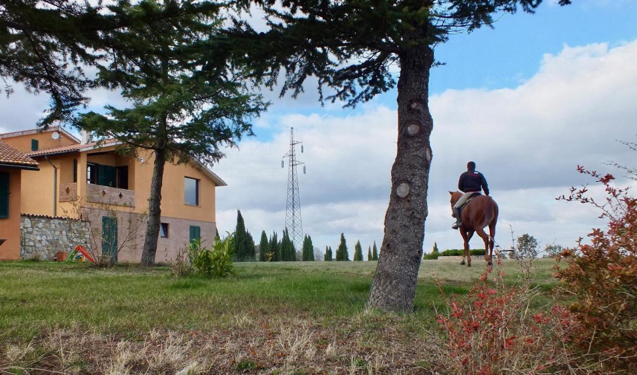 Az.Agr. Il Cavalleggero Villa Campiglia d'Orcia Luaran gambar