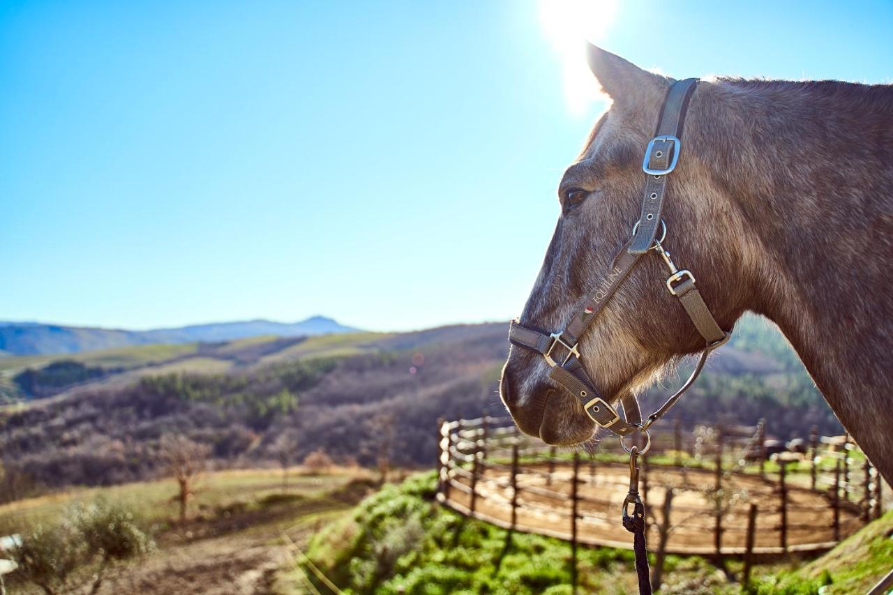 Az.Agr. Il Cavalleggero Villa Campiglia d'Orcia Luaran gambar